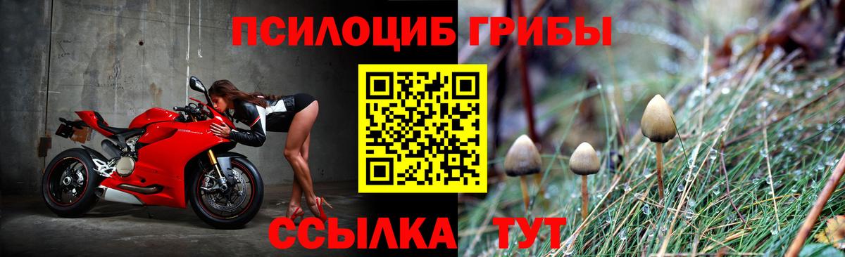 Псилоцибиновые грибы мухоморы Волоколамск